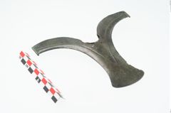 Foto von Bronzeflügelortband (NHMW-PRAE-024622)
